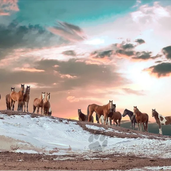 Vitamin A Tash Woven Raffia Tote Bag - Picture 7 of 7